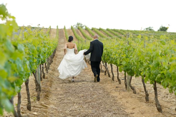 Elegant Cape Town, South Africa Wedding Captured By Christine Meintjes photo 1