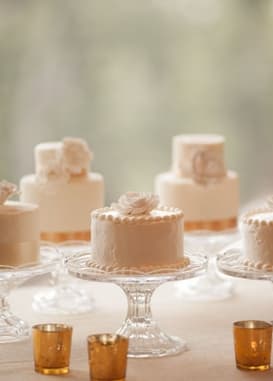 Carrie's Cakes portfolio 2