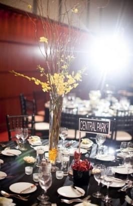 Premier Party Rentals portfolio 1