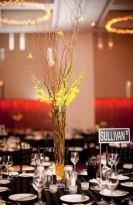 Premier Party Rentals portfolio 2