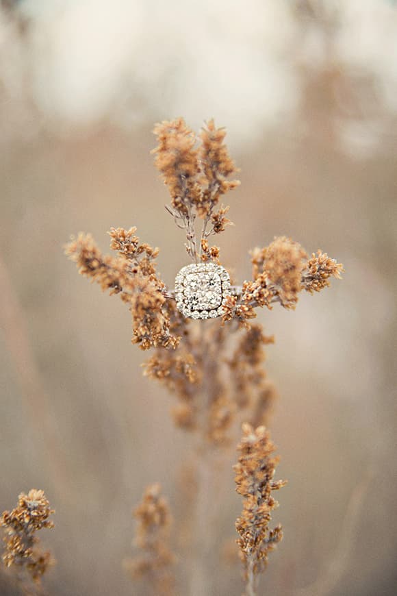 Elegant Antelope Island Wedding Captured By Stephanie Sunderland